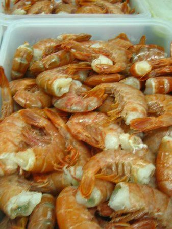 Terra Refugio Gastronómico